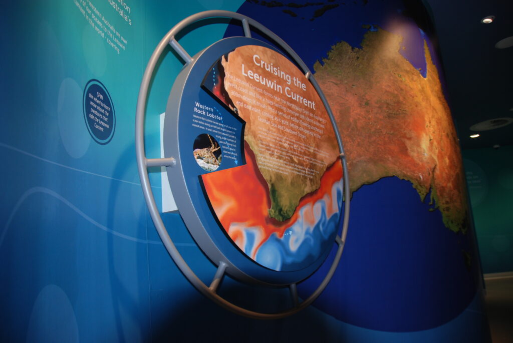 Interactive signage & Displays
