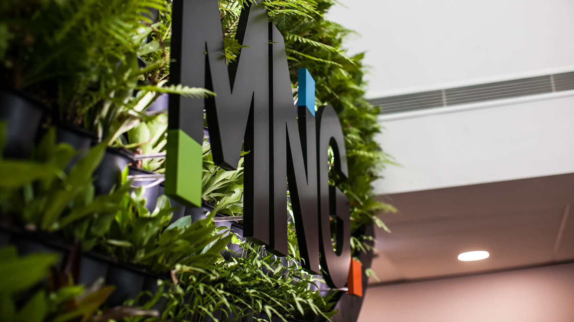 custom signage using 3d lettering with pops of colour installed onto a green foliage wall, Reception signage perth, perth signs, custom signs, logo signs, reception signs perth, office signs, branded signs, illuminated signs, 3d lettering signage, signage design