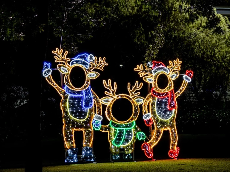 Christmas Selfie Displays, Interactive Christmas Decorations, Christmas Light Trails