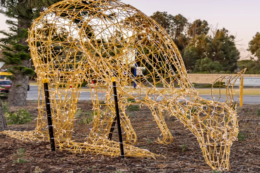 Kangaroo Christmas Display